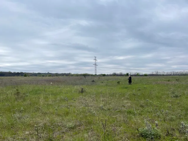 Eladó mezőgazdasági ingatlan Szada 9049 nm