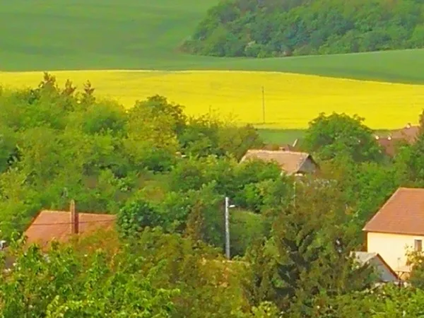 Eladó telek Bér 1837 nm