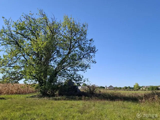 Eladó telek Püspökmolnári 3330 nm