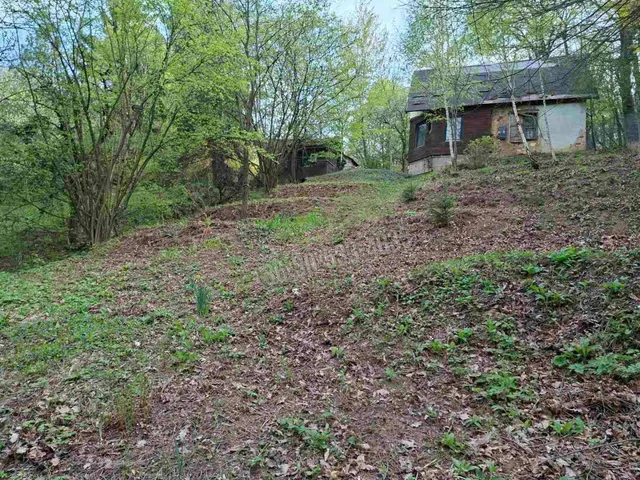 Eladó telek Kőszeg, Királyvölgy 1607 nm