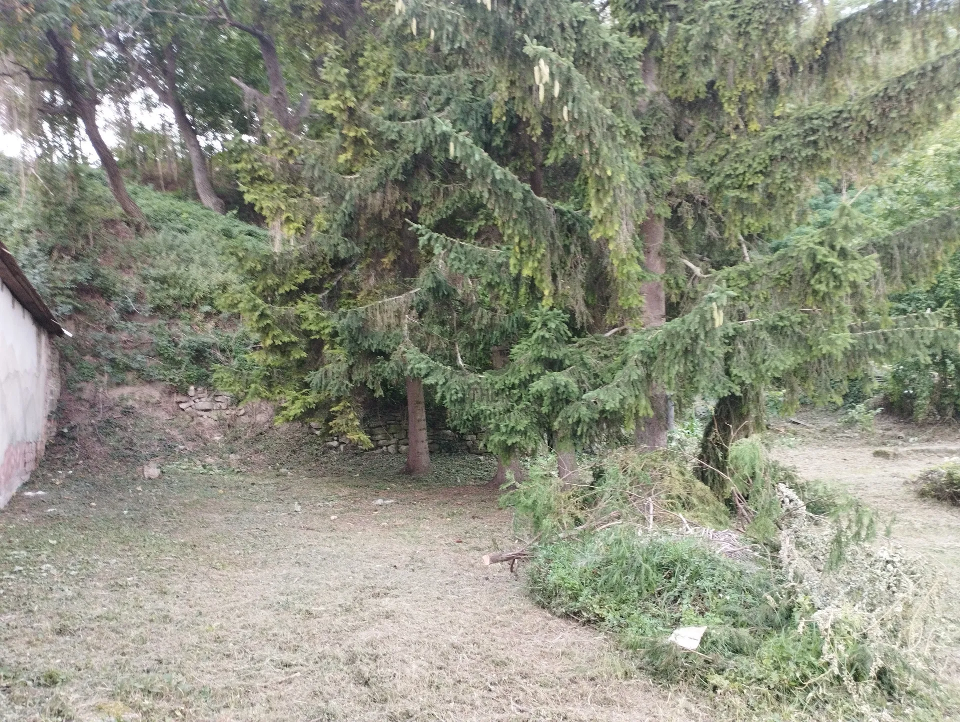 Eladó építési telek, Nógrád - 5. nézet