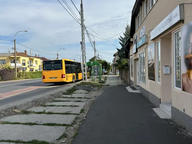 Kiadó kereskedelmi és ipari ingatlan Dunakeszi 40 nm