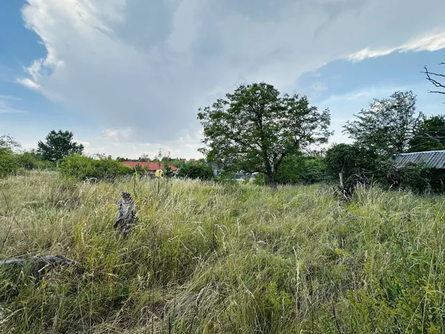 Eladó mezőgazdasági ingatlan Szentendre 1427 nm
