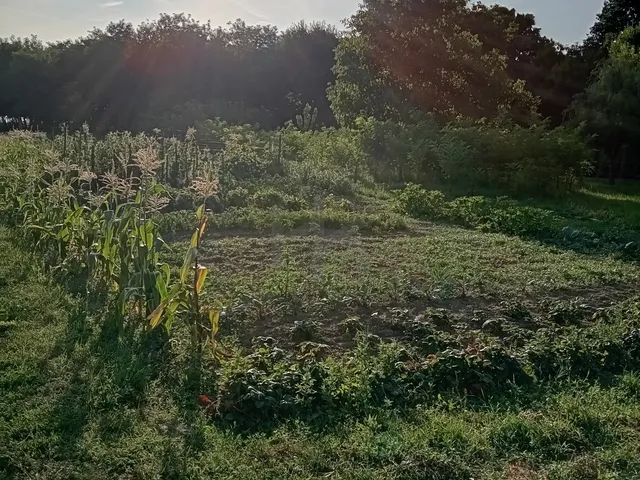 Eladó ház Merenye 80 nm