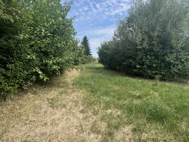 Eladó ház Bolhó 300 nm