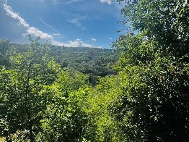 Eladó telek Pécs, Mecsekoldal 2448 nm