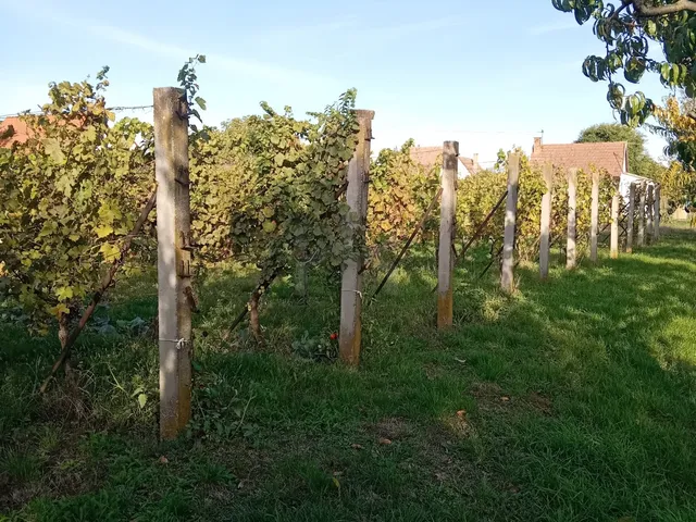 Eladó nyaraló Szigetvár 50 nm