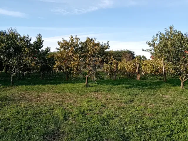 Eladó nyaraló Szigetvár 50 nm