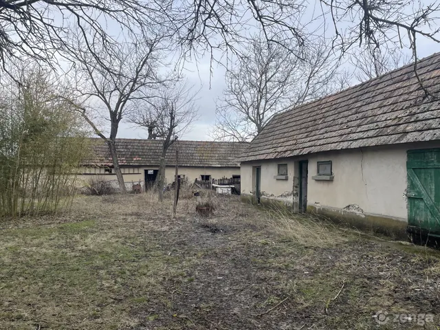 Eladó mezőgazdasági ingatlan Orgovány 14282 nm