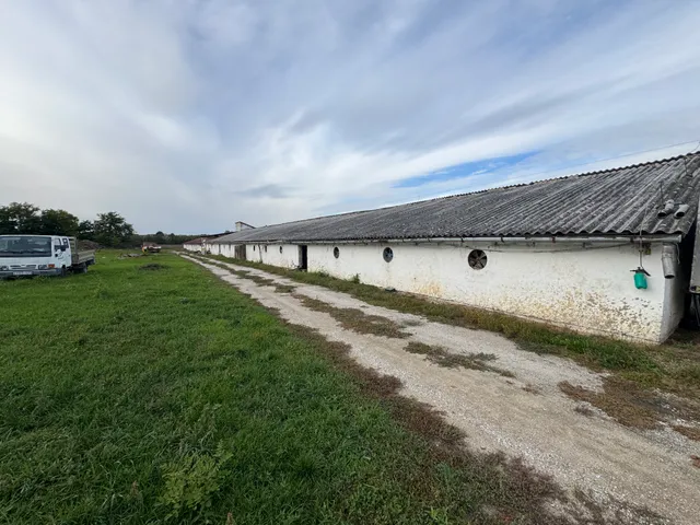 Eladó mezőgazdasági ingatlan Nemesbikk 1700 nm