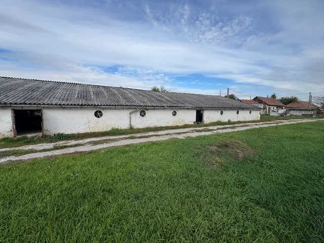 Eladó mezőgazdasági ingatlan Nemesbikk 1700 nm