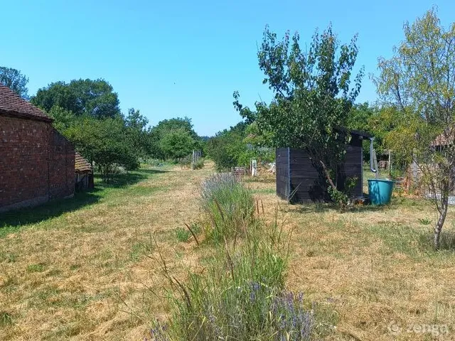 Eladó telek Harasztifalu 1642 nm