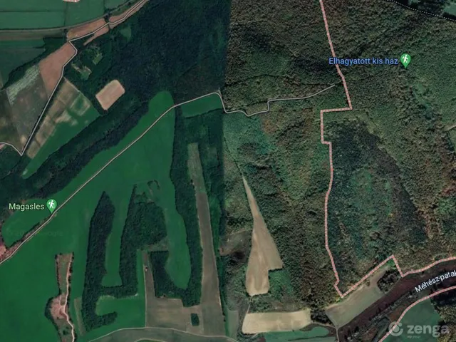 Eladó mezőgazdasági ingatlan Nagyhajmás 30000000 nm