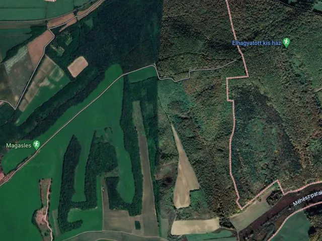Eladó mezőgazdasági ingatlan Mágocs 30000 nm