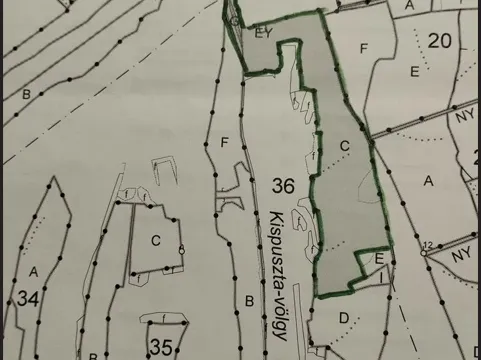 Eladó mezőgazdasági ingatlan Mágocs 30000 nm