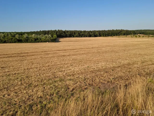 Eladó mezőgazdasági ingatlan Isaszeg 80400 nm
