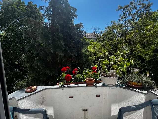 Eladó lakás Budapest XIV. kerület, Herminamező 52 nm