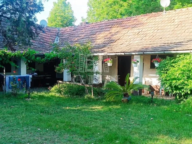 Eladó mezőgazdasági ingatlan Kunszentmiklós, Kunbábony 180 nm
