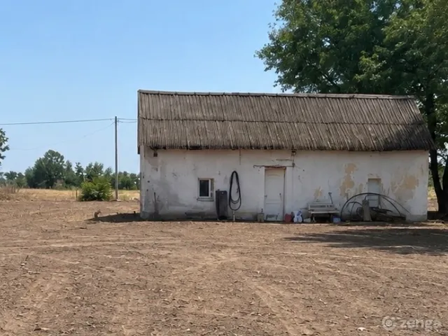 Eladó mezőgazdasági ingatlan Domaszék 60 nm