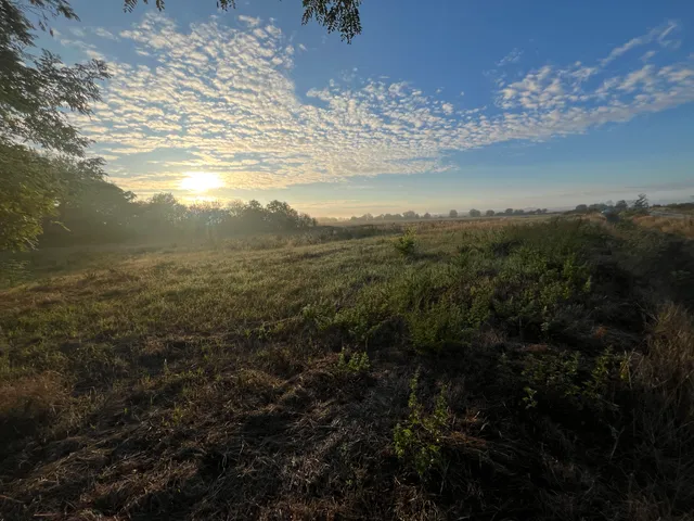 Eladó telek Csikvánd, Dózsa Gy. u. 1100 nm