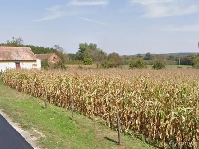 Eladó telek Szentliszló 1616 nm