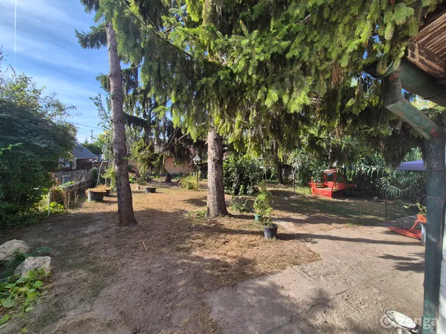 Eladó ház Szigetszentmiklós, Fenyőfa utca 3 120 nm