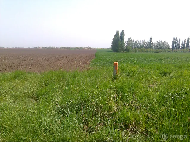 Eladó mezőgazdasági ingatlan Nagycserkesz 51000 nm
