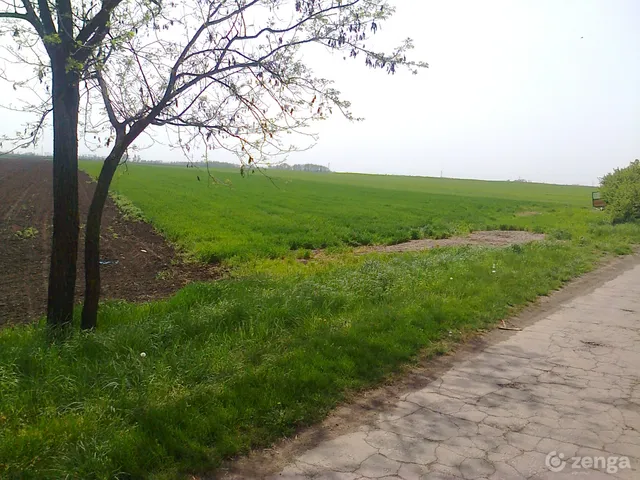 Eladó mezőgazdasági ingatlan Nagycserkesz 106000 nm