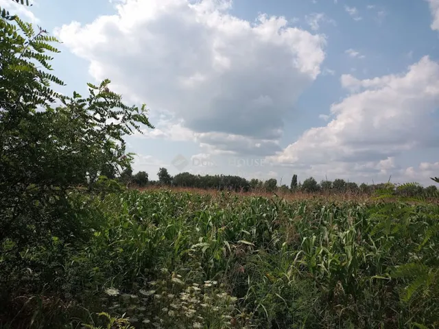 Eladó telek Szigetszentmiklós 5736 nm