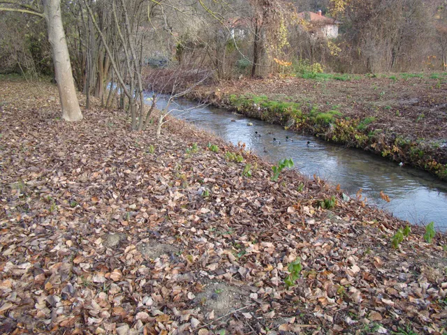 Eladó mezőgazdasági ingatlan Veszprém, Dózsaváros 947 nm