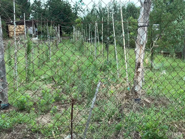 Eladó telek Nyíregyháza 800 nm