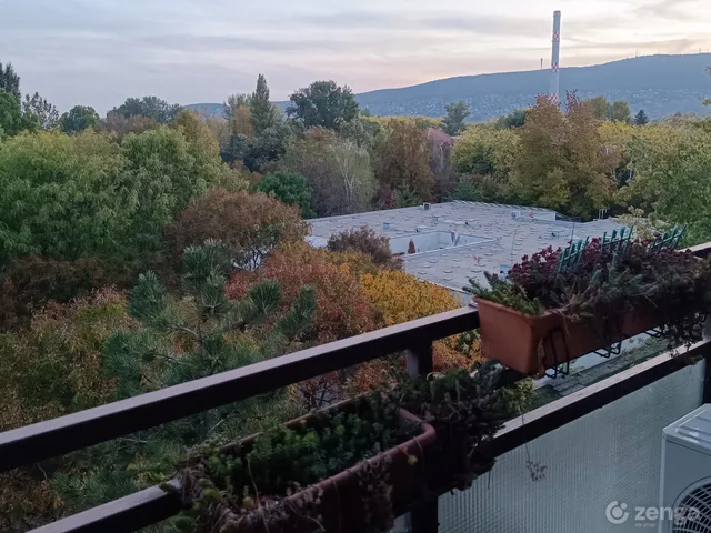 Eladó lakás Budapest III. kerület, Pók utcai lakótelep 54 nm