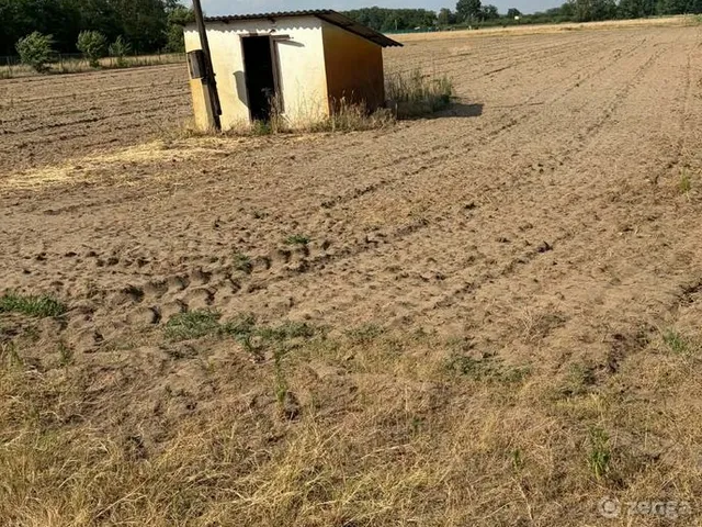 Eladó telek Zsombó 1136 nm