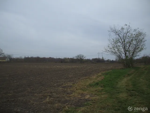 Eladó mezőgazdasági ingatlan Szeged, Kiskundorozsma 9111 nm