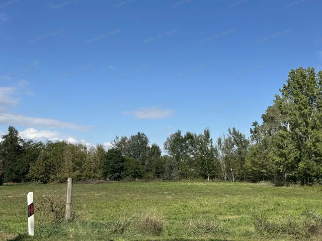 Eladó telek Balatonszárszó 7724 nm