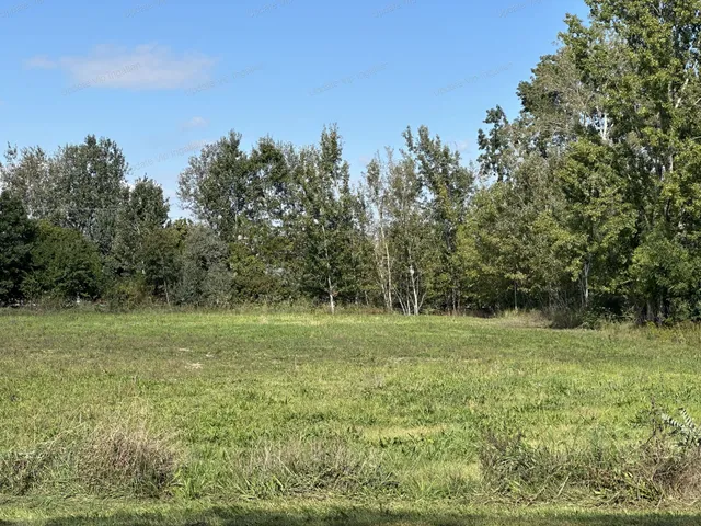 Eladó telek Balatonszárszó 7724 nm