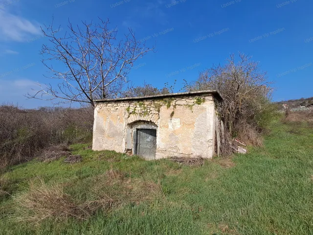 Eladó kereskedelmi és ipari ingatlan Balatonszőlős 90 nm