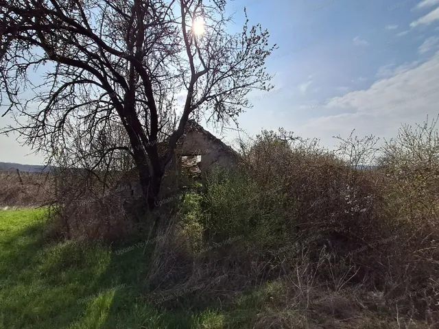 Eladó kereskedelmi és ipari ingatlan Balatonszőlős 90 nm