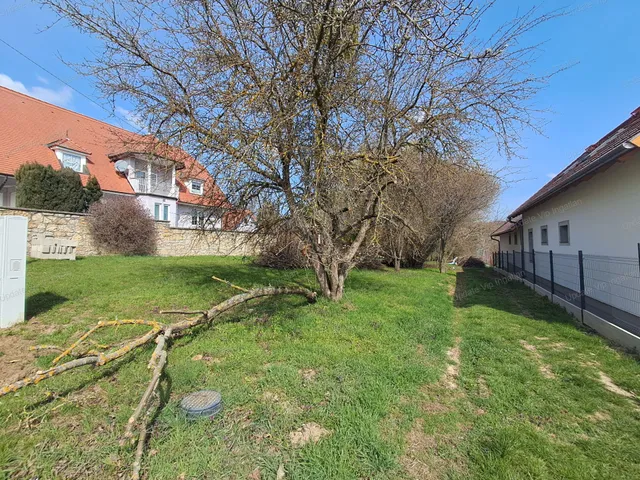Eladó telek Vászoly 1552 nm