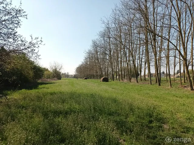 Eladó telek Ráckeve 924 nm