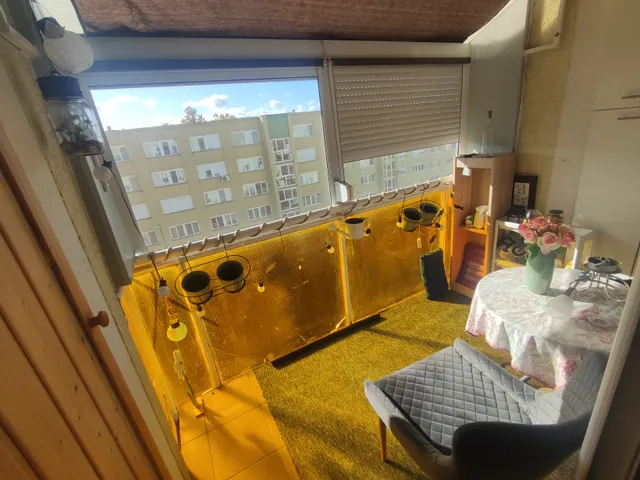 Eladó lakás Baja, Újvárosi lakótelep 61 nm