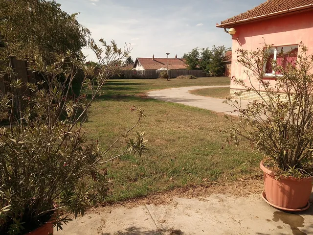 Eladó kereskedelmi és ipari ingatlan Nagyszénás 1395 nm