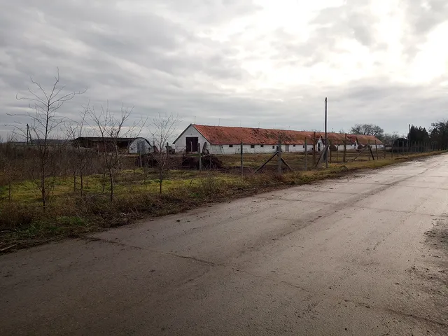 Eladó mezőgazdasági ingatlan Tótkomlós 2000 nm