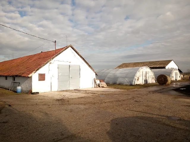 Eladó mezőgazdasági ingatlan Tótkomlós 2000 nm