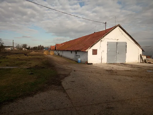 Eladó mezőgazdasági ingatlan Tótkomlós 2000 nm