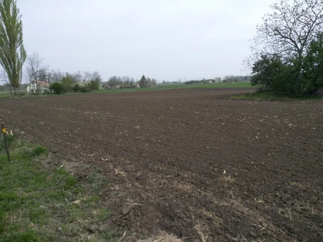 Eladó mezőgazdasági ingatlan Orosháza 2045 nm