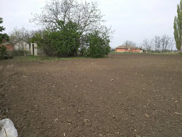 Eladó mezőgazdasági ingatlan Orosháza, Szabolcs u. 2045 nm