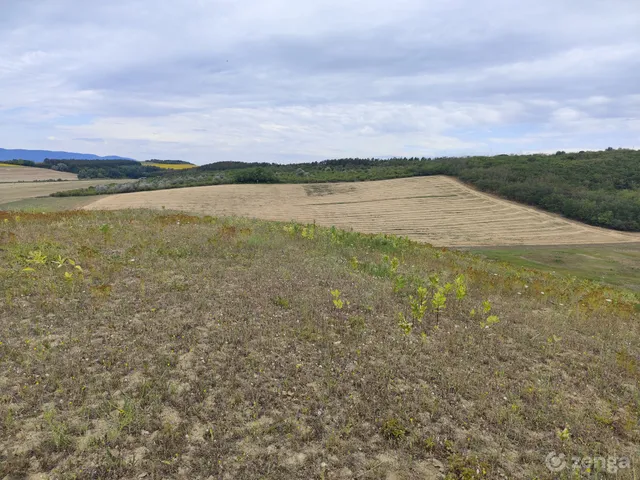 Eladó mezőgazdasági ingatlan Kisnémedi 500000 nm
