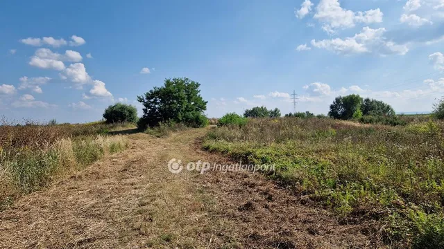 Eladó kereskedelmi és ipari ingatlan Edelény 101550 nm