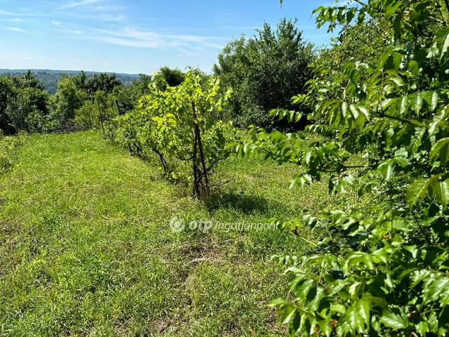 Eladó telek Miskolc 878 nm